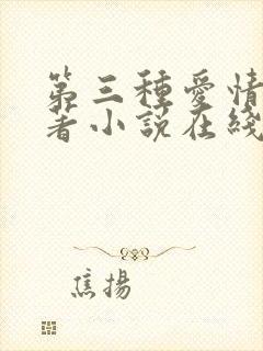 第三种爱情 原著小说在线阅读