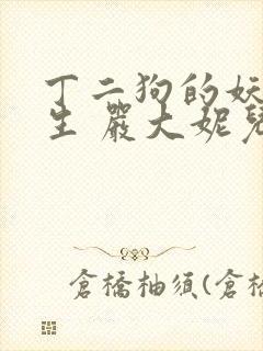 丁二狗的妖孽人生 严大妮儿 小说