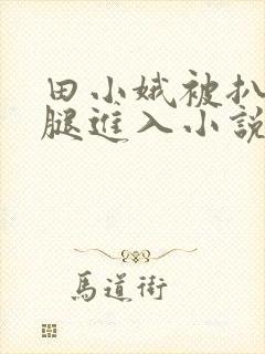 田小娥被扒开双腿进入小说