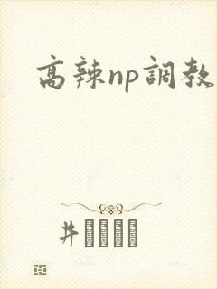 高辣np调教