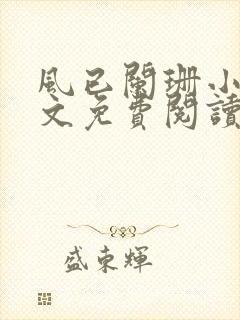 风已阑珊小说全文免费阅读最新章节