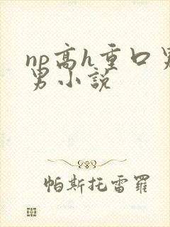 np高h重口男男小说封面