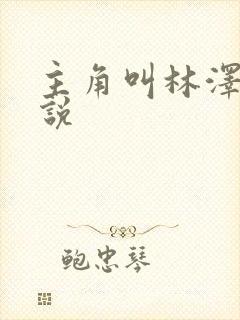 主角叫林泽的小说封面