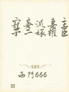 宠妾灭妻主母携子二嫁权臣