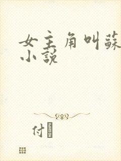 女主角叫苏沫的小说