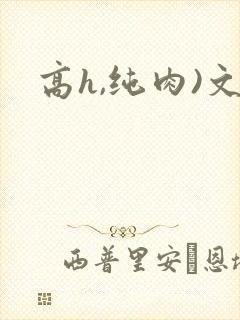 高h,纯肉)文