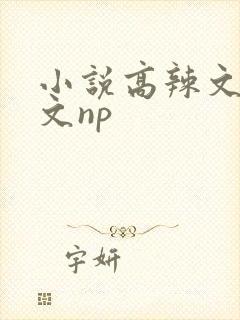 小说高辣文高h文np