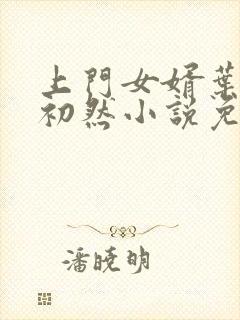 上门女婿叶辰萧初然小说免费