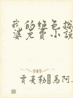 我的绝色总裁老婆免费小说