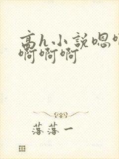 高h小说嗯啊哈啊啊啊