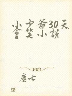 小少爷30天后会笑小说