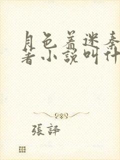 月色着迷秦岸原著小说叫什么