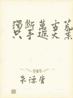 独断万古荒天帝只手遮天叶天帝