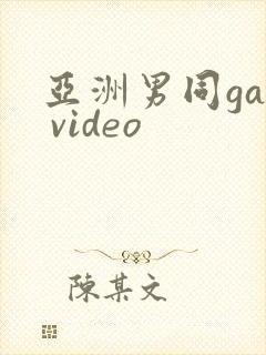 亚洲男同gay video