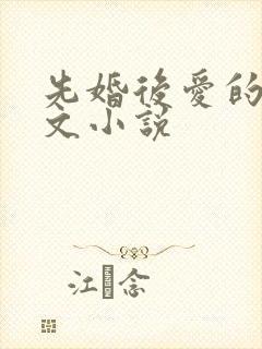 先婚后爱的甜宠文小说