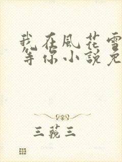 我在风花雪月里等你小说免费阅读