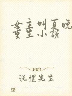 女主叫夏晚晚的重生小说