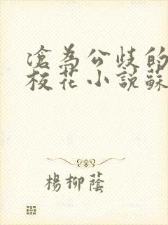 沧为公歧的清纯校花小说苏软封面