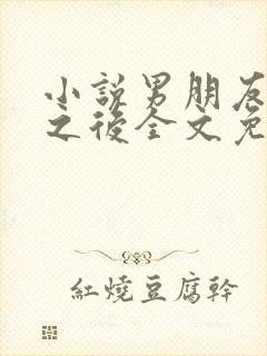 小说男朋友出轨之后全文免费阅读封面