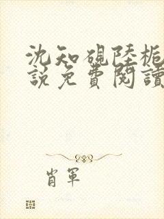 沈知砚陆栀夏小说免费阅读最新章节