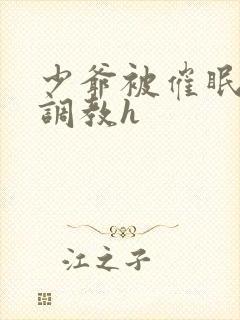 少爷被催眠玩弄调教h封面