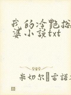 我的冷艳总裁老婆小说txt封面