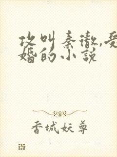 攻叫秦彻,受已婚的小说