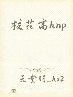 校花高hnp