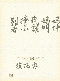 别挤我妈妈了原著小说叫什么名字