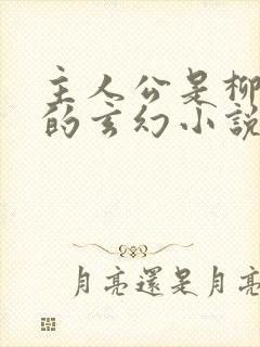 主人公是柳无邪的玄幻小说