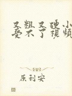 又粗又硬小寡妇受不了视频