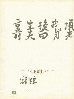 重生后我顶替了前夫白月光 第118章