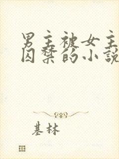 男主被女主改造囚禁的小说