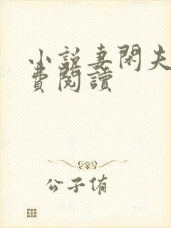 小说妻闲夫贵免费阅读封面