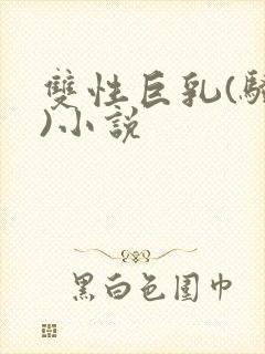 双性巨乳(骚受)小说