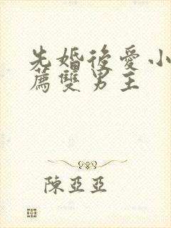 先婚后爱小说推荐双男主