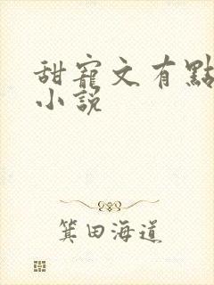 甜宠文有点肉的小说