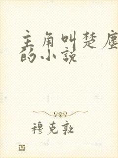 主角叫楚尘宋颜的小说