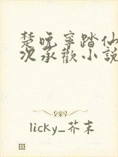 楚晚宁踏仙君初次承欢小说