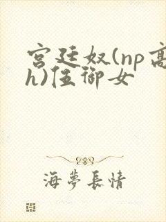 宫廷奴(np高h)伍御女