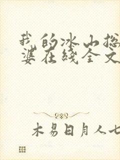 我的冰山总裁老婆在线全文阅读