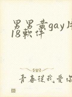 男男黄gay片18软件