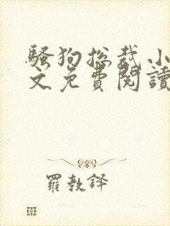 骚狗总裁小说全文免费阅读最新章节