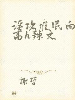 淫攻催眠向np高h辣文