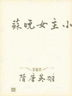 苏晚女主小说名