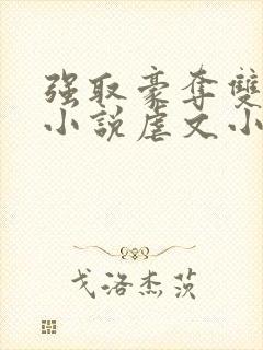 强取豪夺双男主小说虐文小说推荐