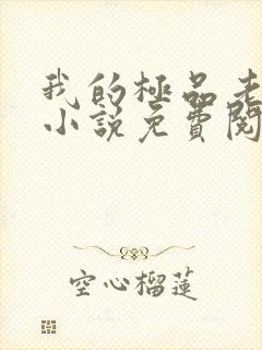 我的极品老婆 小说免费阅读封面