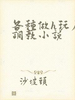 各种做h玩尿孔调教小说