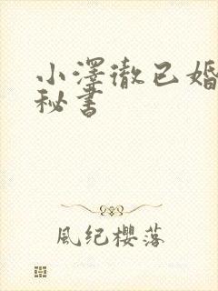 小泽彻已婚人妻秘书