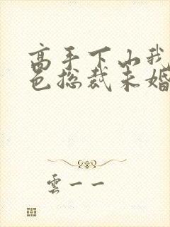 高手下山我的绝色总裁未婚妻